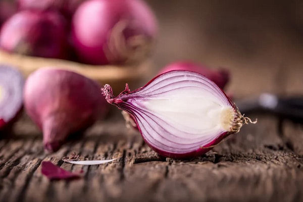 تصویر 4 از قیمت خرید پیاز قرمز بناب عمده + فروش ویژه